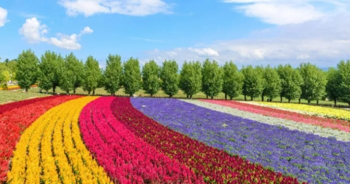 北海道景點交通方式 北海道景點交通方式
