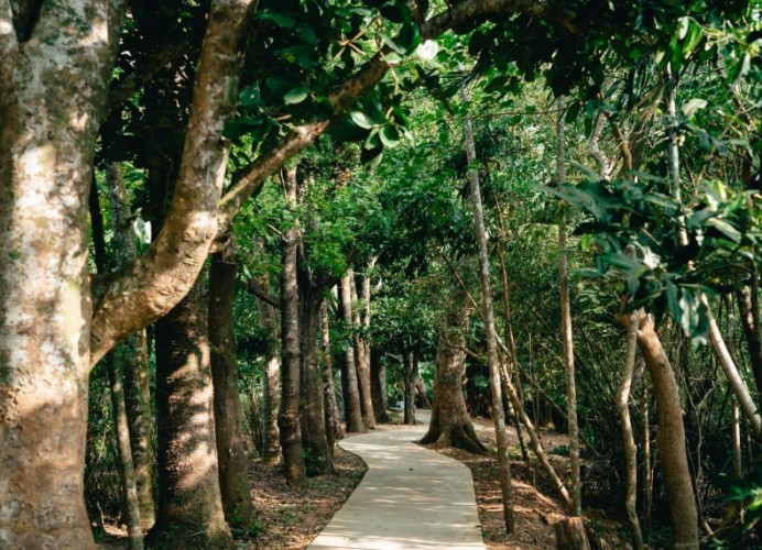 墾丁森林遊樂區